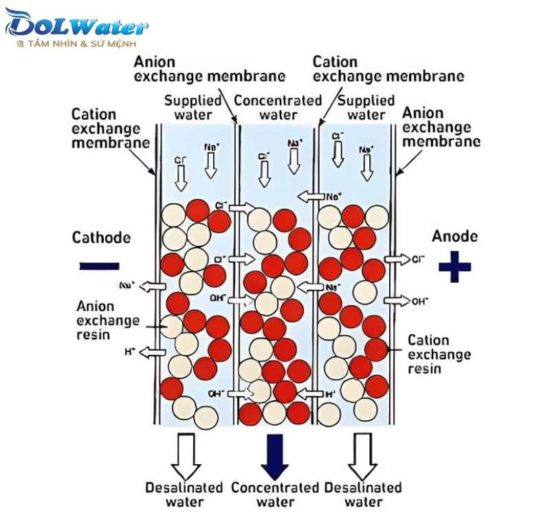 Cơ chế trao đổi ion liên tục bằng điện trường trong hệ thống nước EDI khử khoáng 12m3/ giờ.